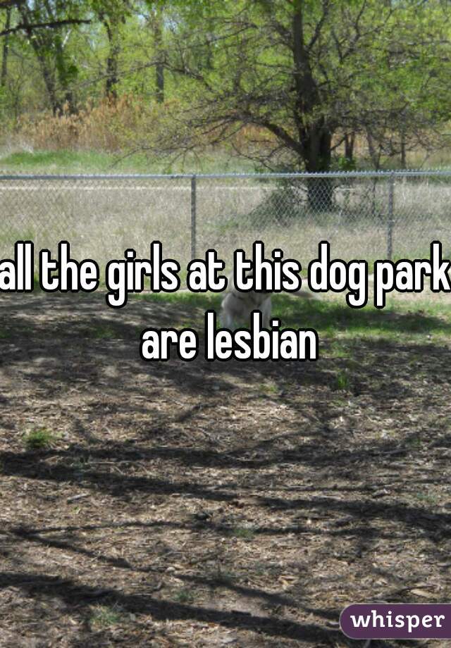 all the girls at this dog park are lesbian
