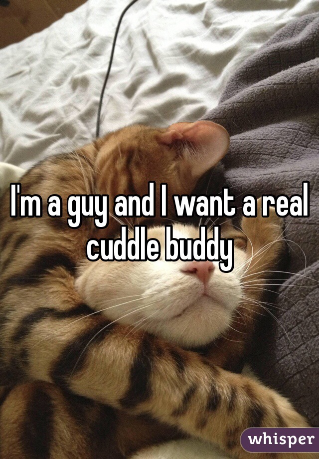 I'm a guy and I want a real cuddle buddy 