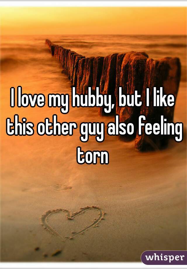 I love my hubby, but I like this other guy also feeling torn 
