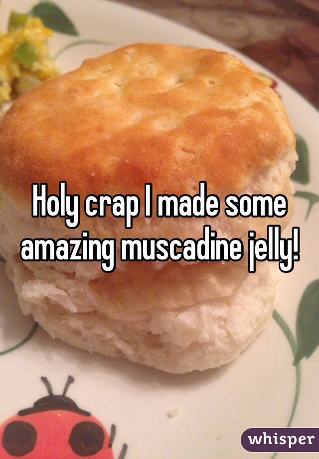Holy crap I made some amazing muscadine jelly! 