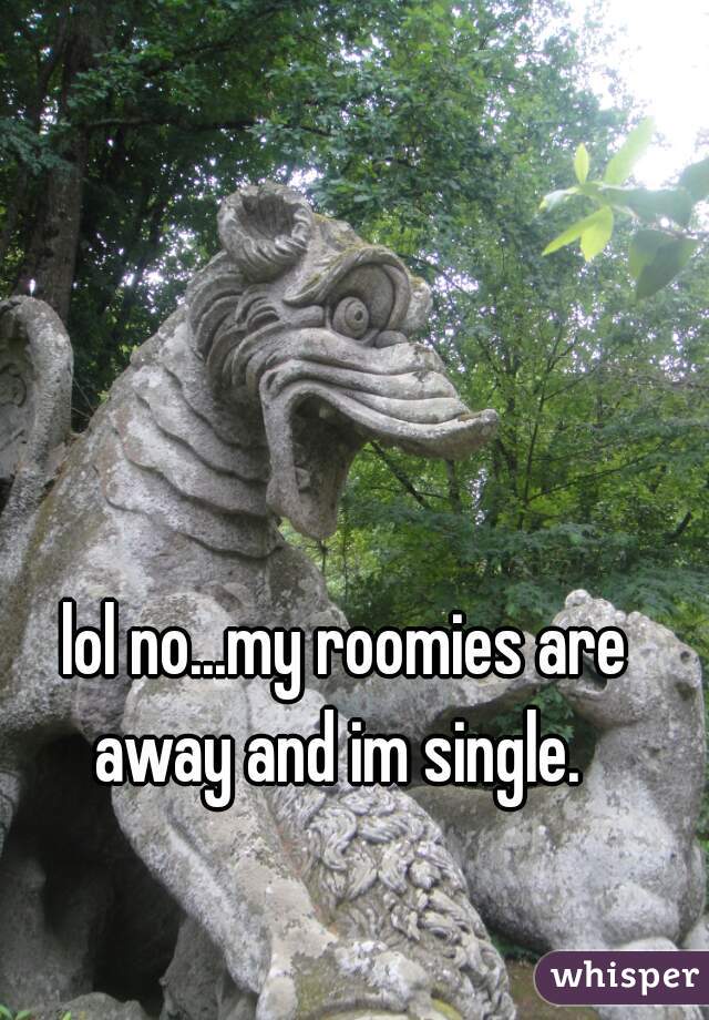 lol no...my roomies are away and im single.  