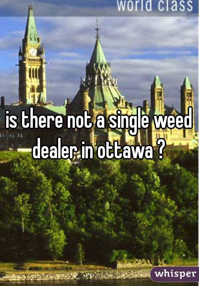 is there not a single weed dealer in ottawa ? 