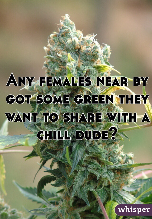 Any females near by got some green they want to share with a chill dude?