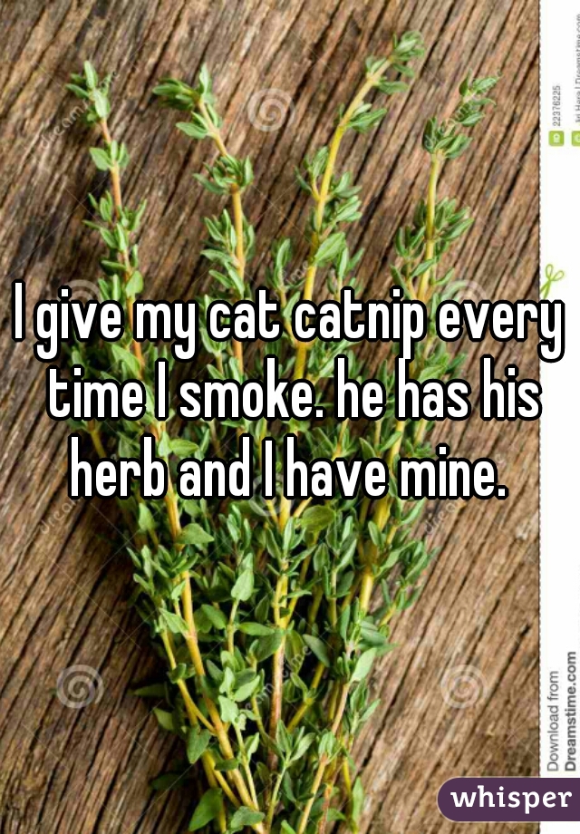 I give my cat catnip every time I smoke. he has his herb and I have mine. 