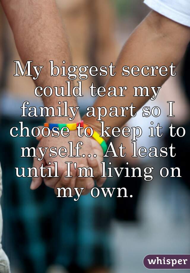 My biggest secret could tear my family apart so I choose to keep it to myself... At least until I'm living on my own. 