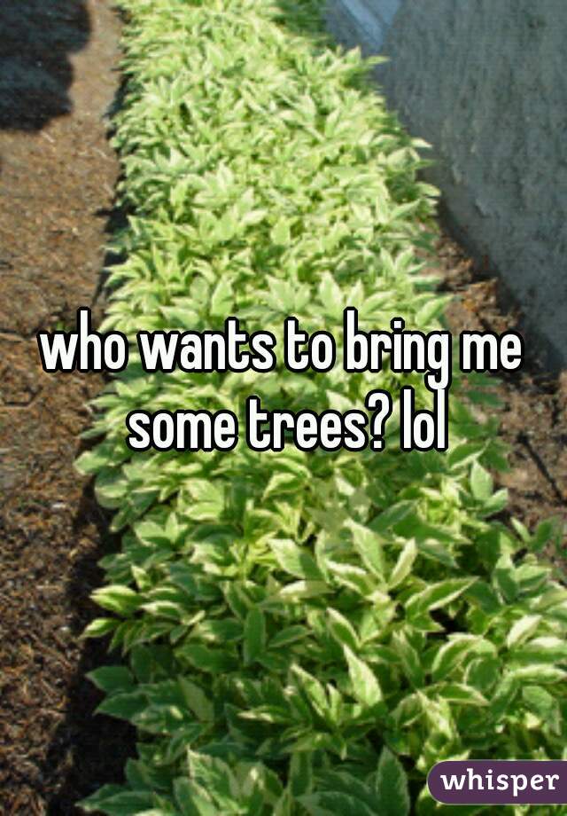 who wants to bring me some trees? lol