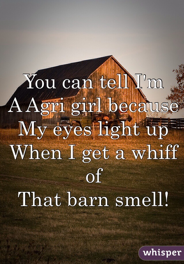 You can tell I'm 
A Agri girl because 
My eyes light up 
When I get a whiff of 
That barn smell! 