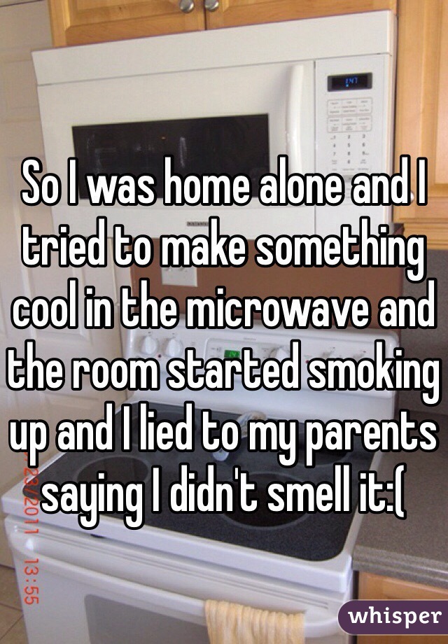 So I was home alone and I tried to make something cool in the microwave and the room started smoking up and I lied to my parents saying I didn't smell it:(