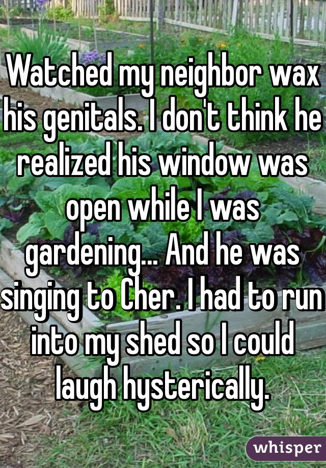 Watched my neighbor wax his genitals. I don't think he realized his window was open while I was gardening... And he was singing to Cher. I had to run into my shed so I could laugh hysterically.