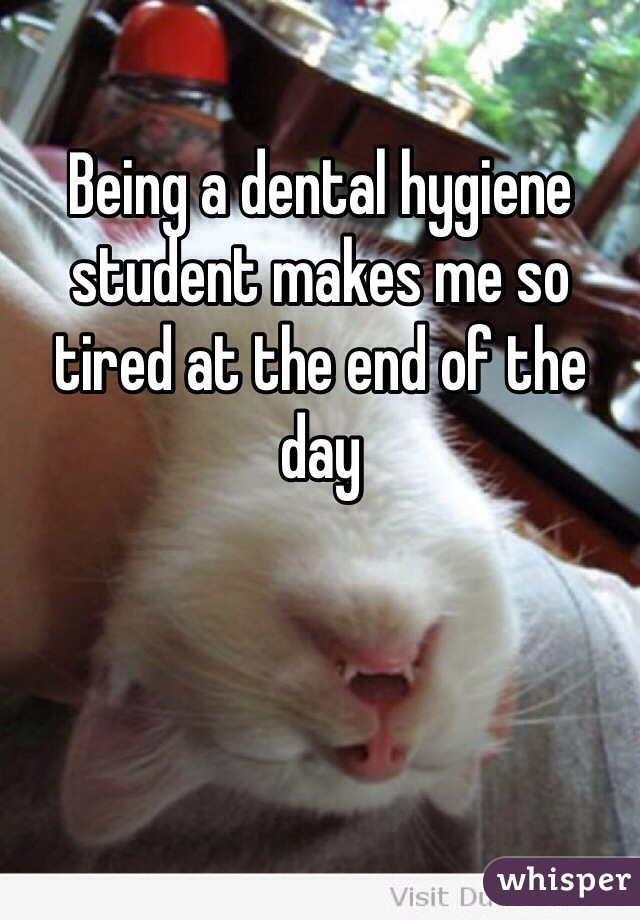 Being a dental hygiene student makes me so tired at the end of the day 