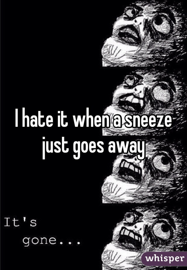 I hate it when a sneeze just goes away