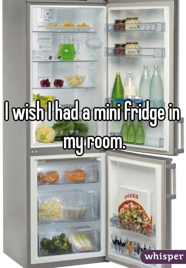 I wish I had a mini fridge in my room.