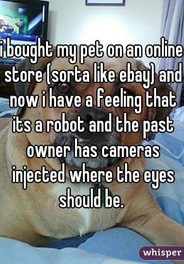 i bought my pet on an online store (sorta like ebay) and now i have a feeling that its a robot and the past owner has cameras injected where the eyes should be. 