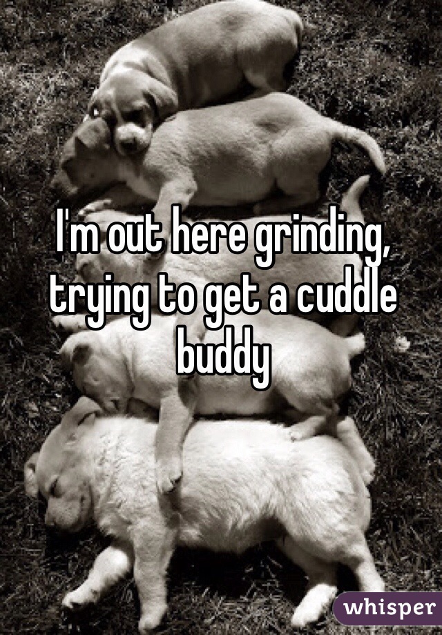 I'm out here grinding, trying to get a cuddle buddy