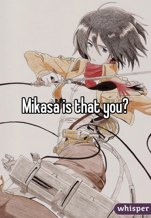 Mikasa is that you?