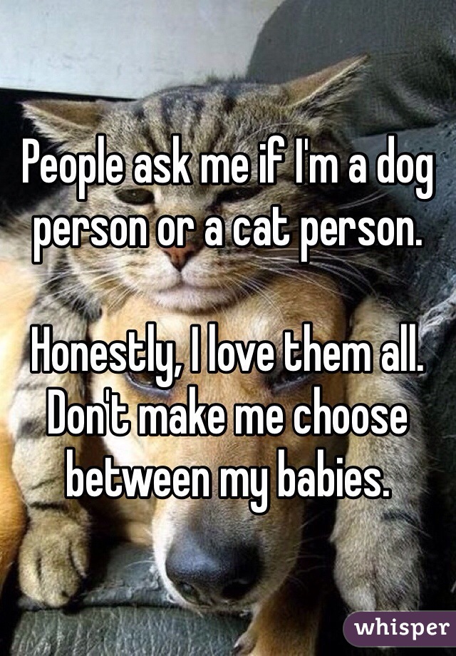 People ask me if I'm a dog person or a cat person. 

Honestly, I love them all. Don't make me choose between my babies. 