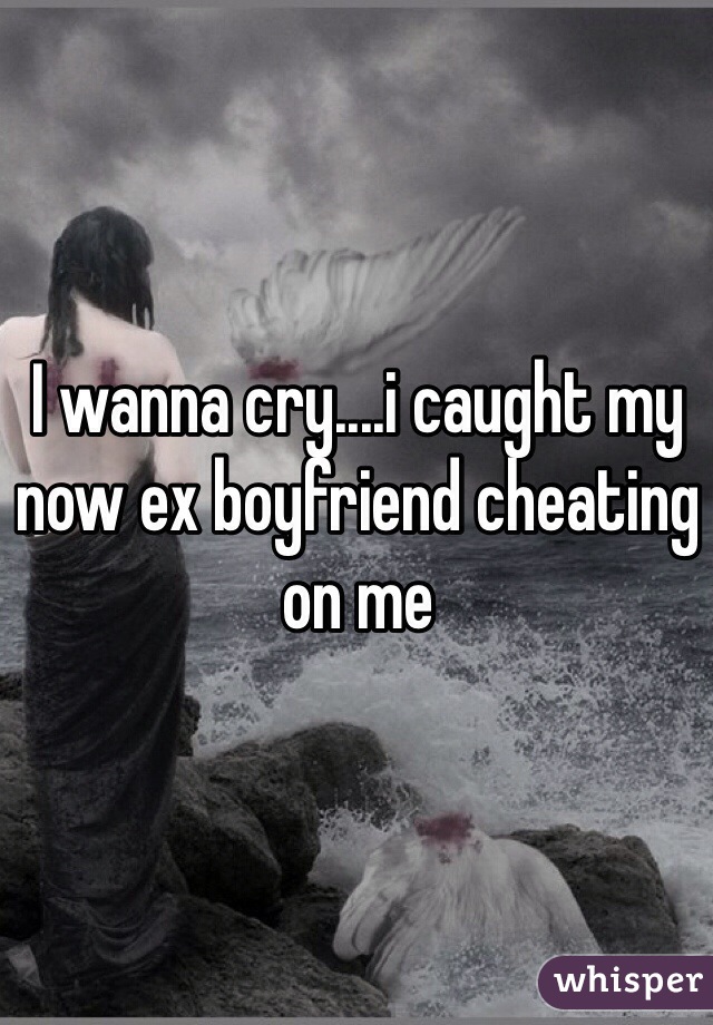 I wanna cry....i caught my now ex boyfriend cheating on me