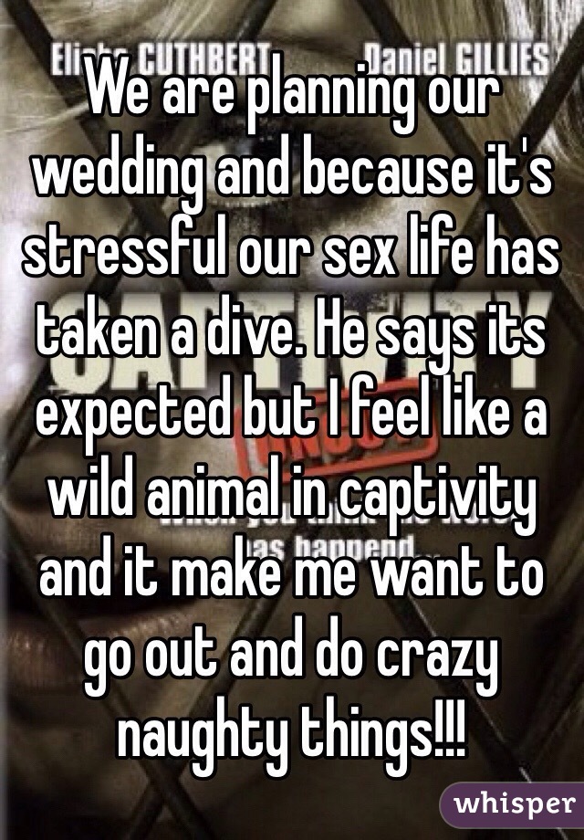 We are planning our wedding and because it's stressful our sex life has taken a dive. He says its expected but I feel like a wild animal in captivity and it make me want to go out and do crazy naughty things!!!