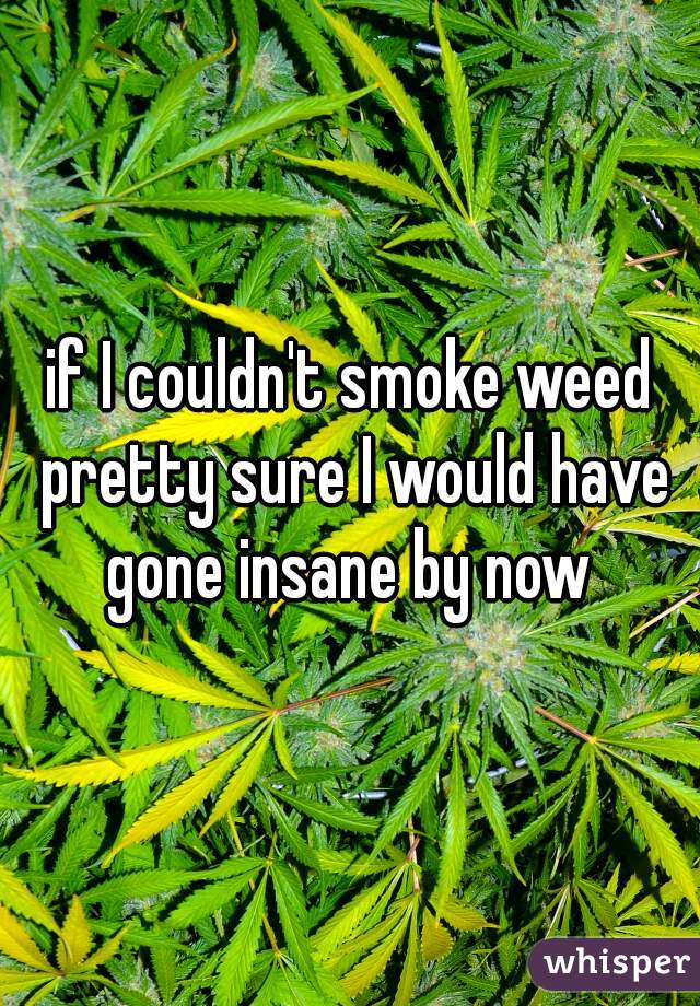 if I couldn't smoke weed pretty sure I would have gone insane by now 