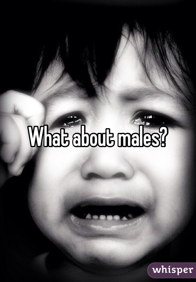 What about males?