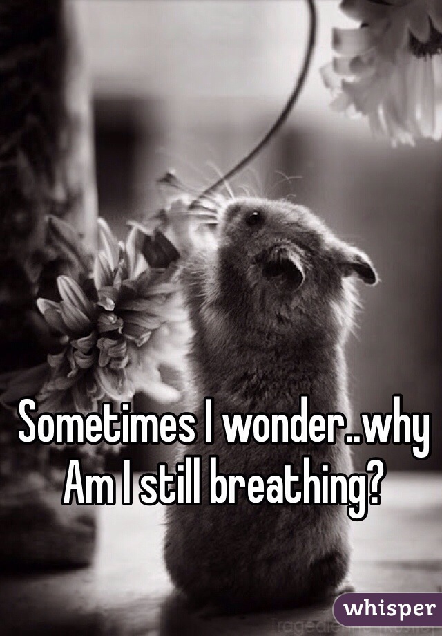 Sometimes I wonder..why Am I still breathing?