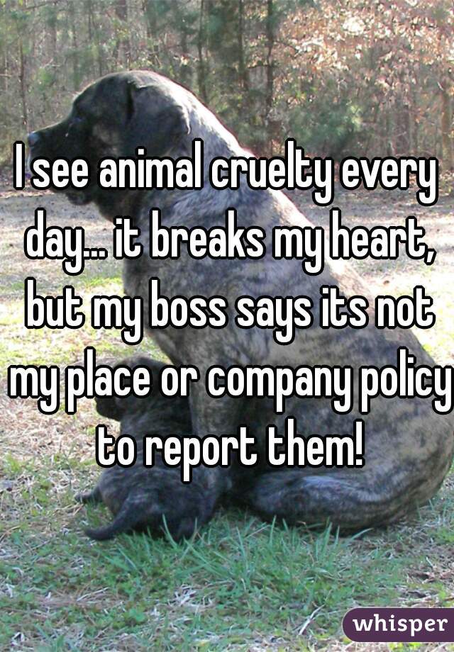 I see animal cruelty every day... it breaks my heart, but my boss says its not my place or company policy to report them!