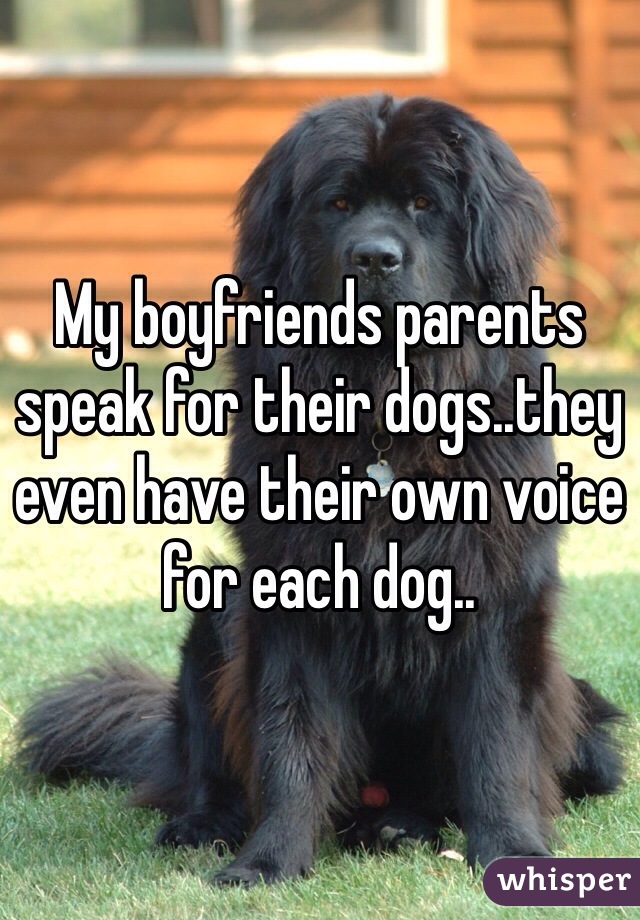 My boyfriends parents speak for their dogs..they even have their own voice for each dog..