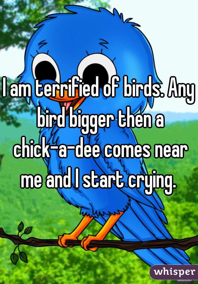 I am terrified of birds. Any bird bigger then a chick-a-dee comes near me and I start crying. 