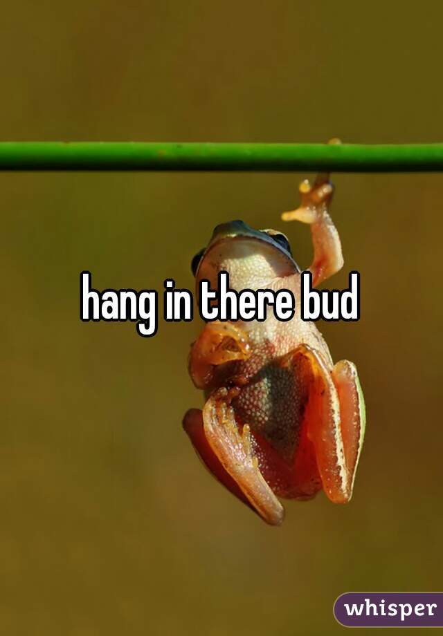 hang in there bud
