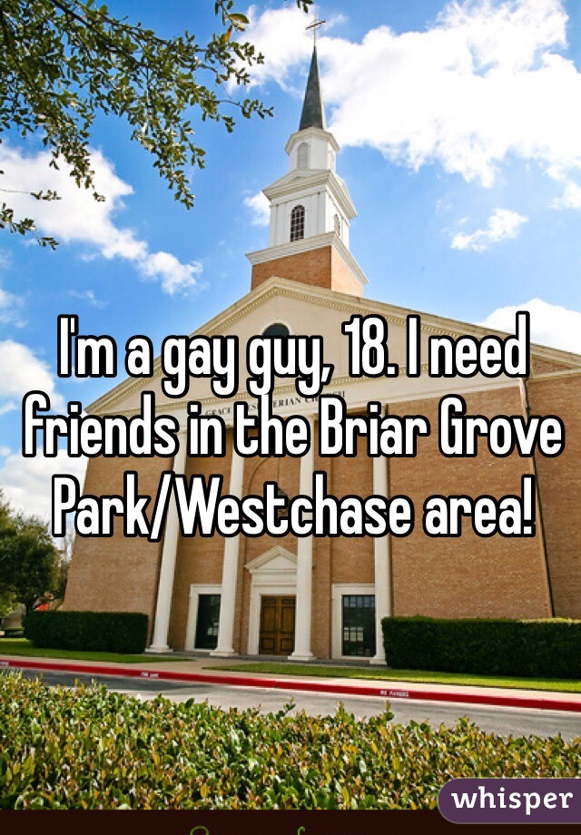 I'm a gay guy, 18. I need friends in the Briar Grove Park/Westchase area! 