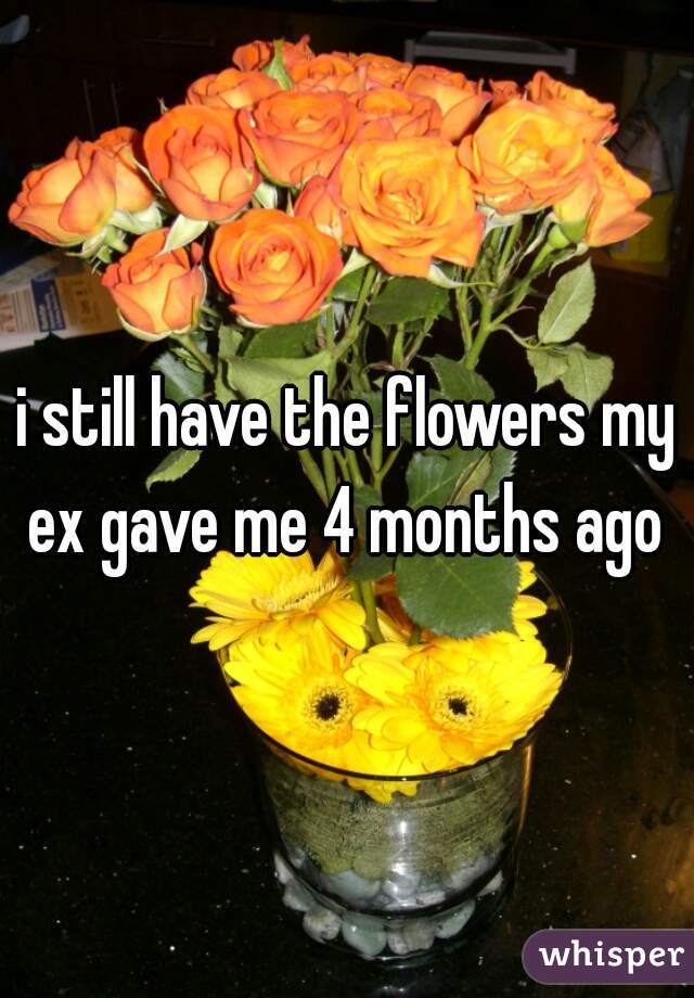 i still have the flowers my ex gave me 4 months ago 