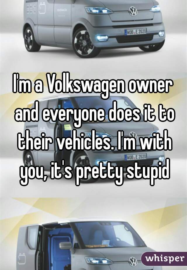 I'm a Volkswagen owner and everyone does it to their vehicles. I'm with you, it's pretty stupid