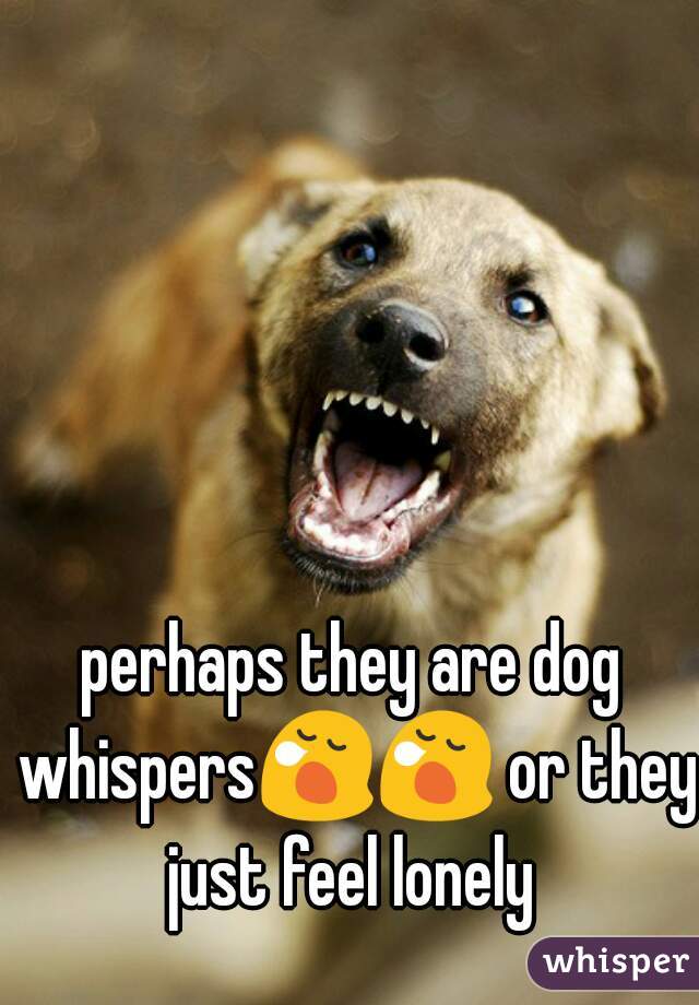 perhaps they are dog whispers😪😪 or they just feel lonely 