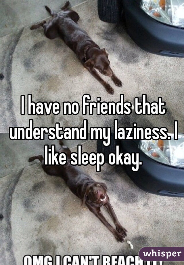 I have no friends that understand my laziness. I like sleep okay. 