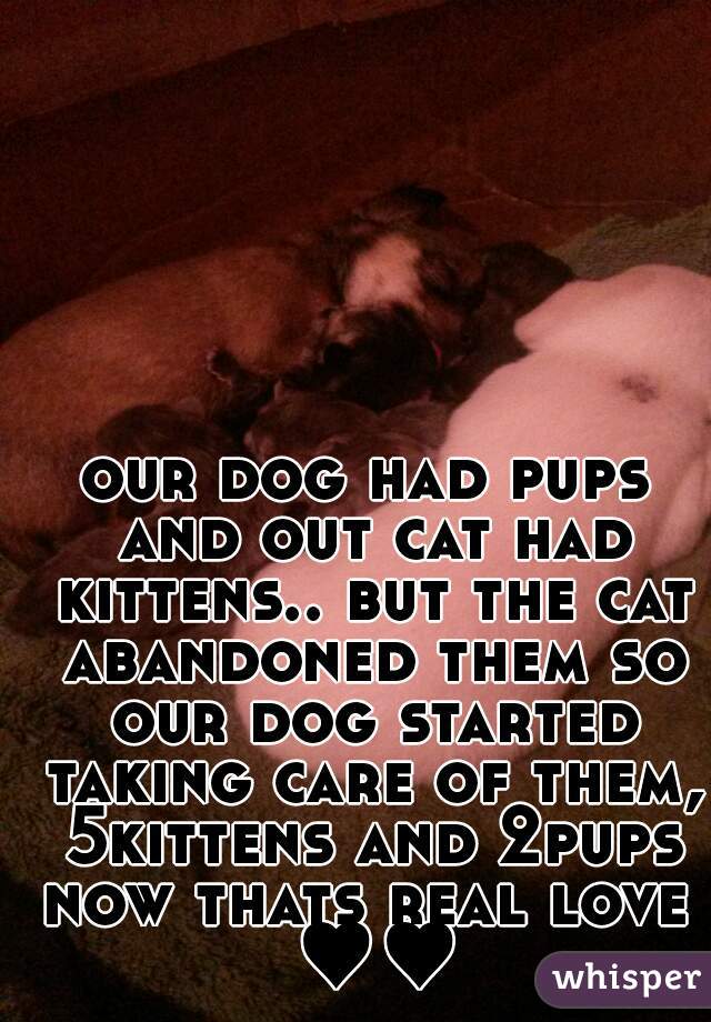 our dog had pups and out cat had kittens.. but the cat abandoned them so our dog started taking care of them, 5kittens and 2pups
now thats real love ♥♥