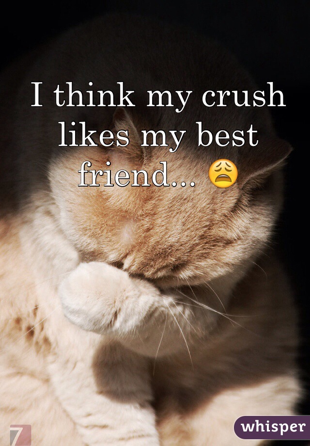 I think my crush likes my best friend... 😩 