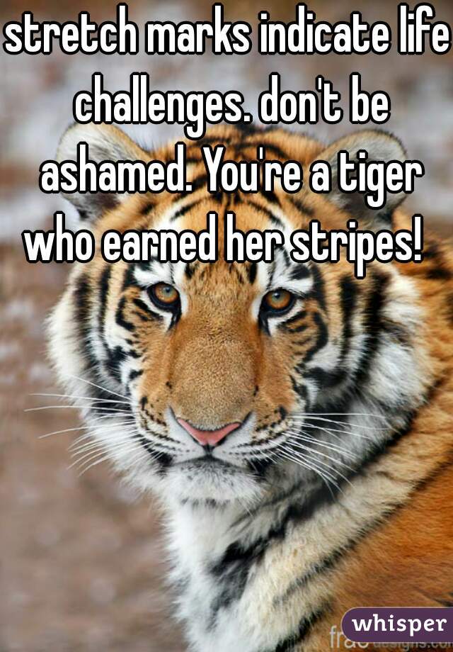stretch marks indicate life challenges. don't be ashamed. You're a tiger who earned her stripes!  