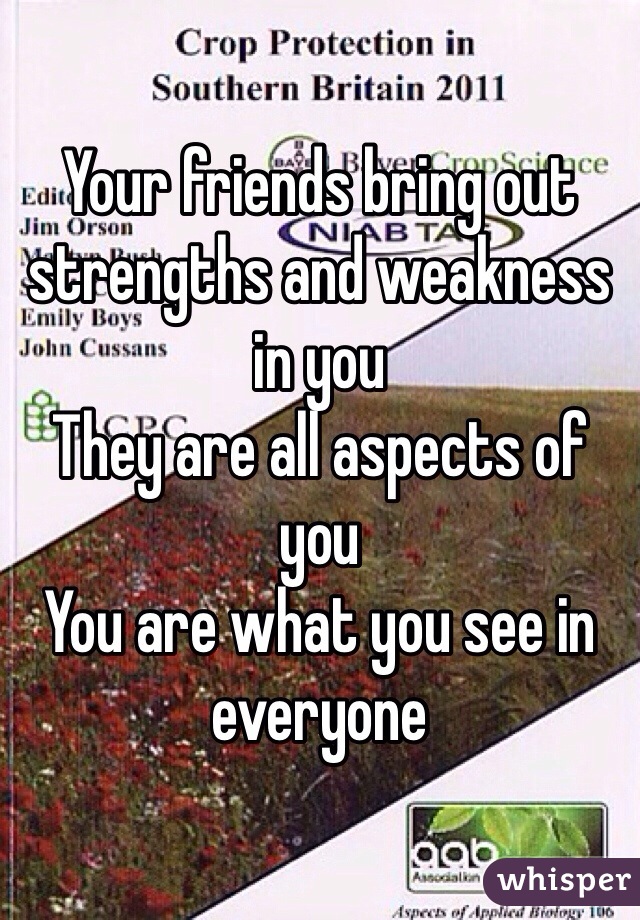 Your friends bring out strengths and weakness in you
They are all aspects of you
You are what you see in everyone