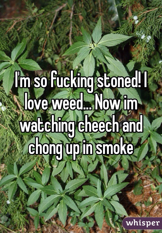 I'm so fucking stoned! I love weed... Now im watching cheech and chong up in smoke