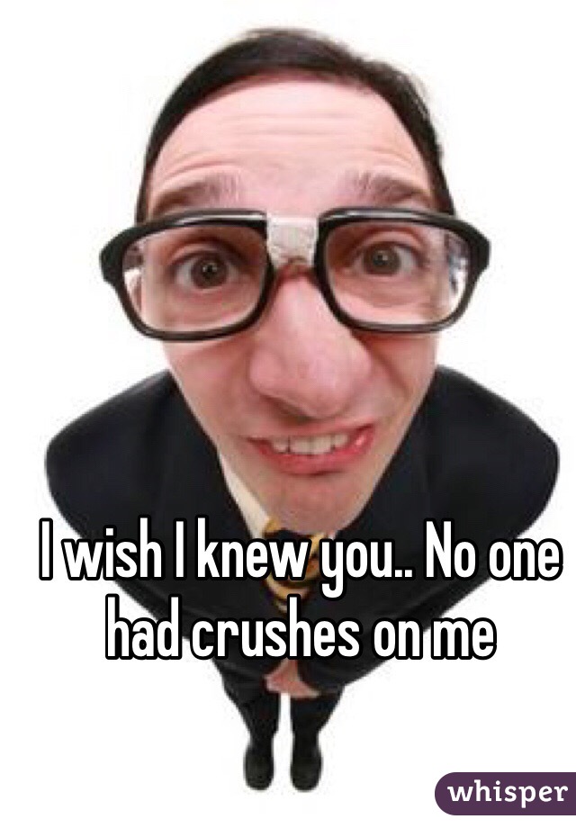I wish I knew you.. No one had crushes on me