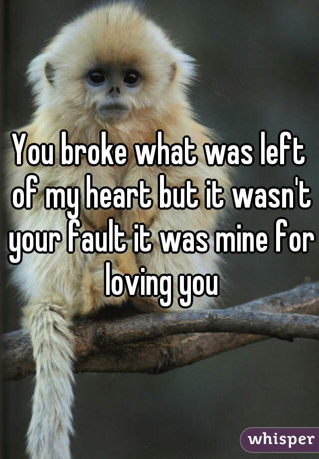 You broke what was left of my heart but it wasn't your fault it was mine for loving you