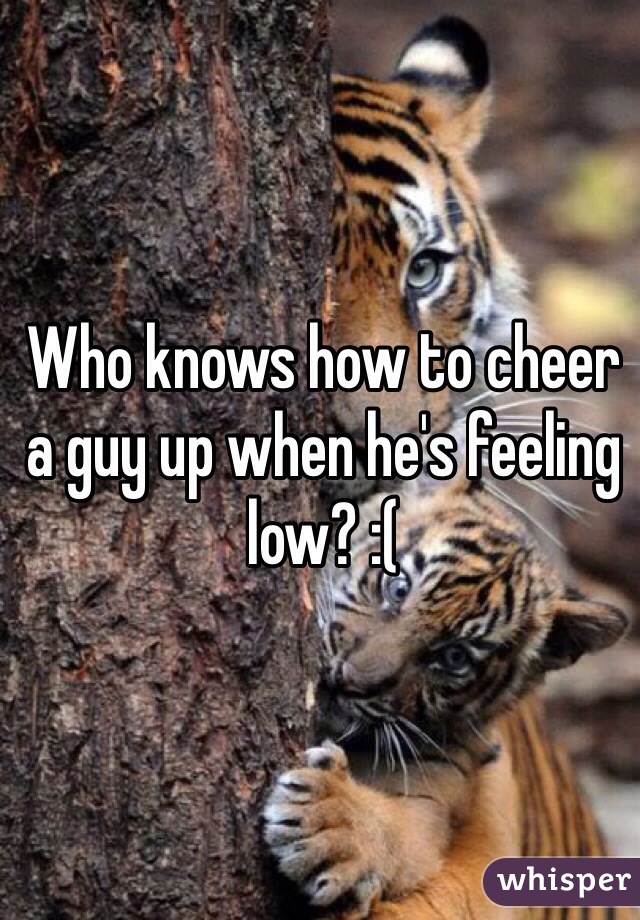 Who knows how to cheer a guy up when he's feeling low? :(