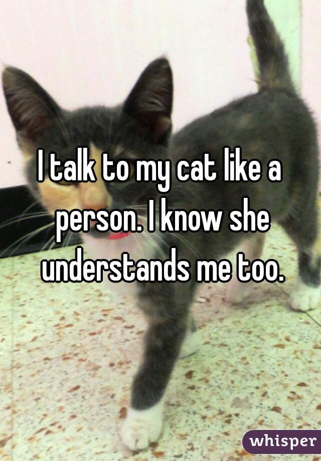 I talk to my cat like a person. I know she understands me too.