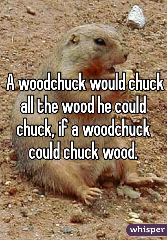  A woodchuck would chuck all the wood he could chuck, if a woodchuck could chuck wood.