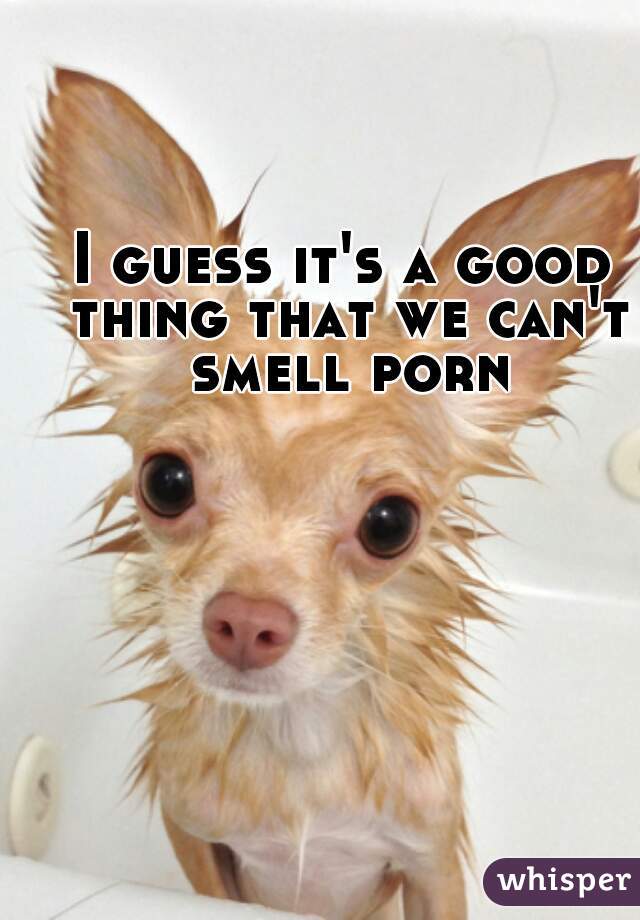 I guess it's a good thing that we can't smell porn