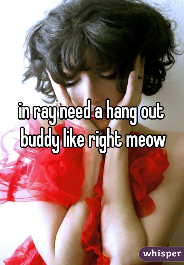 in ray need a hang out buddy like right meow