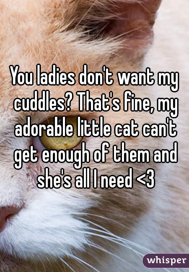 You ladies don't want my cuddles? That's fine, my adorable little cat can't get enough of them and she's all I need <3