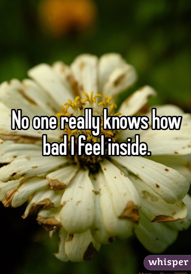 No one really knows how bad I feel inside. 
