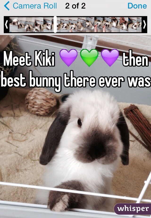 Meet Kiki 💜💚💜 then best bunny there ever was