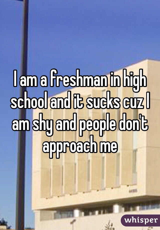 I am a freshman in high school and it sucks cuz I am shy and people don't approach me 